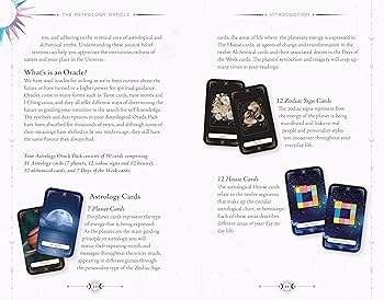 【洋書】The Zodiac Oracle　CX-3 Zodiac 500-Piece Puzzle by Nikki Van De Car | Hachette Book